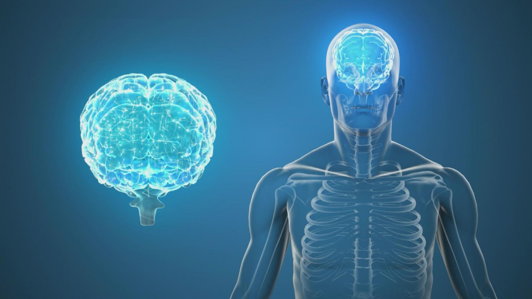 Moderne digitale Lernplattform mit interaktiven KI-Modulen